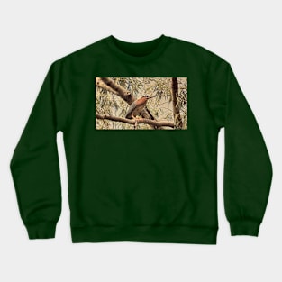 Green Heron in Willow Tree Crewneck Sweatshirt